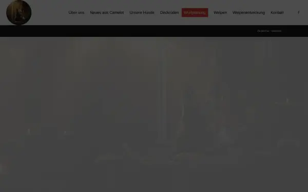 www.von-camelot.de