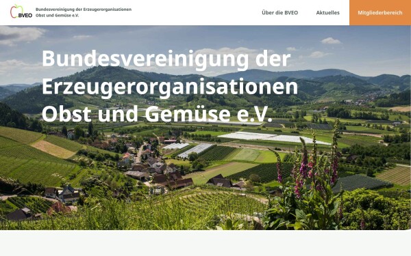 bveo.de