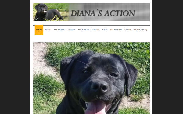 www.dianas-action.de