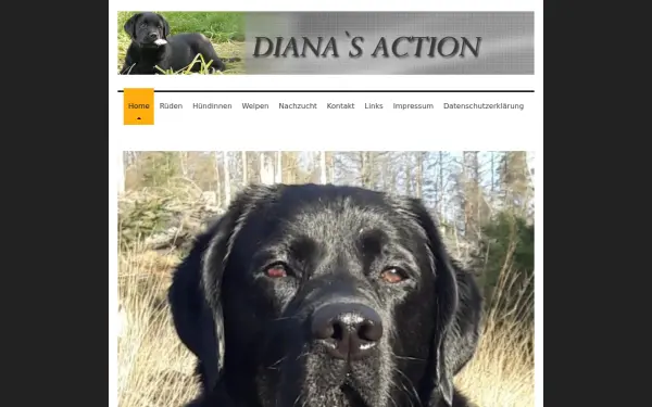 www.dianas-action.de