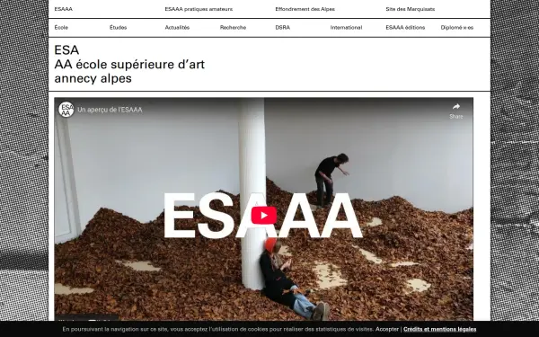 www.esaaa.fr
