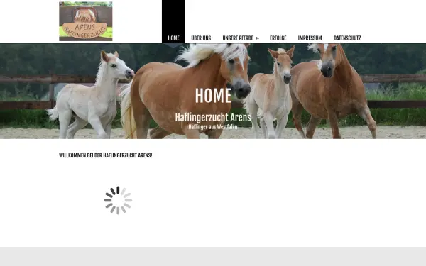 haflingerzucht-arens.de