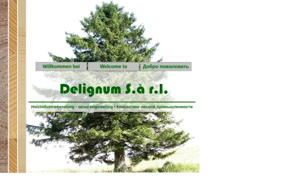 delignum.com