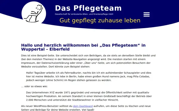 www.diepflege.net