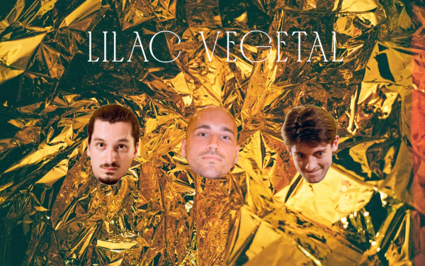 www.lilacvegetal.at