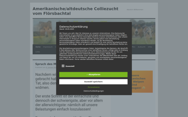 collies-vom-floersbachtal.de
