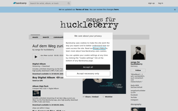 songsfuerhuckleberry.bandcamp.com