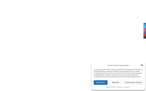 shervin-haghsheno.de