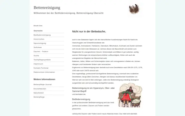 www.bettenreinigung.de