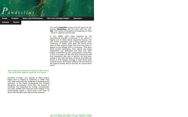 www.pandrillus.org