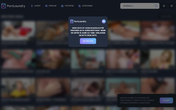 pornlaundry.com