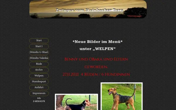 airedalesaarland.de