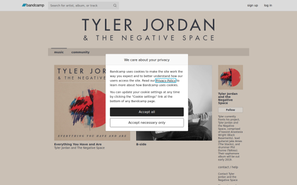 tylerjordanandthenegativespace.bandcamp.com