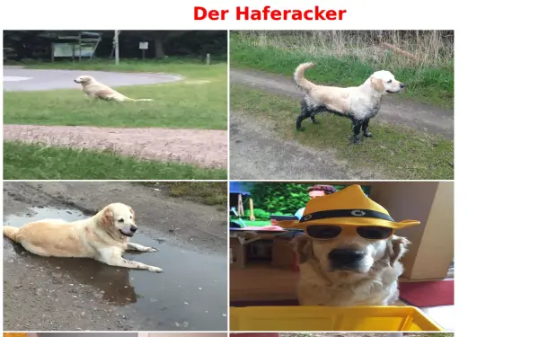 haferacker.de