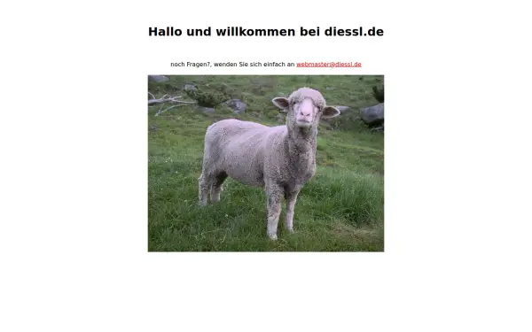 diessl.de