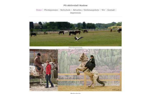 www.ps-aktivstall.de