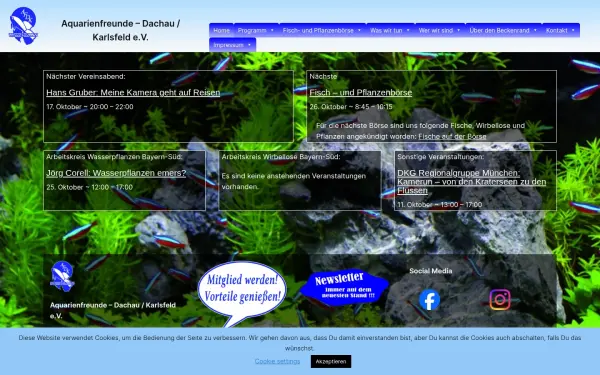 aquarienfreunde-dachau.de