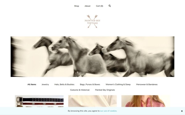 www.paintedskyvintage.com