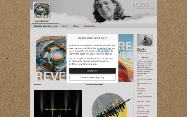 mareikewiening.bandcamp.com