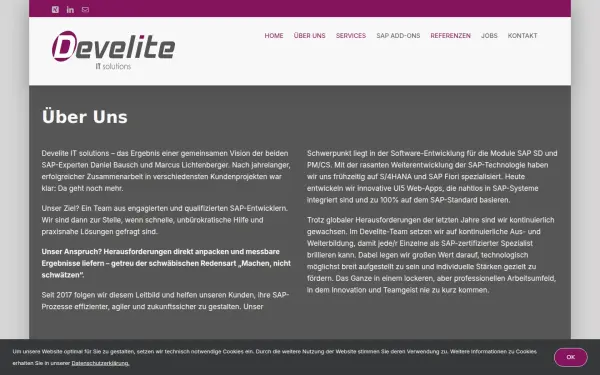 develite-it-solutions.com