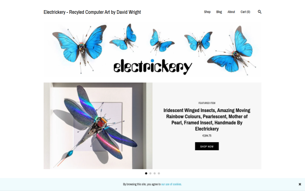 electrickeryart.com
