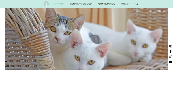 www.catskarma.de