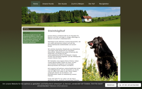 www.steinhoegl.at