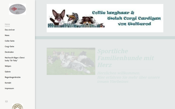 www.collies-von-welterod.de