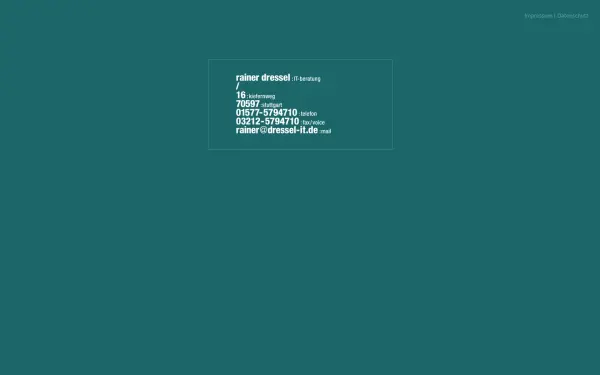 dressel-it.de