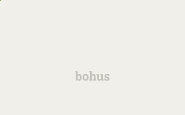 www.bohus.de