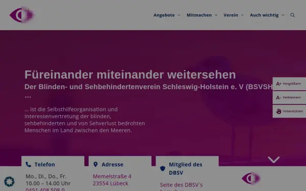 www.bsvsh.org