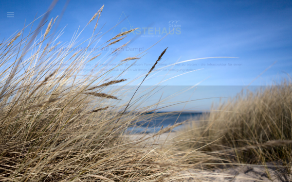 ferienhaeuser-ostsee.jimdofree.com