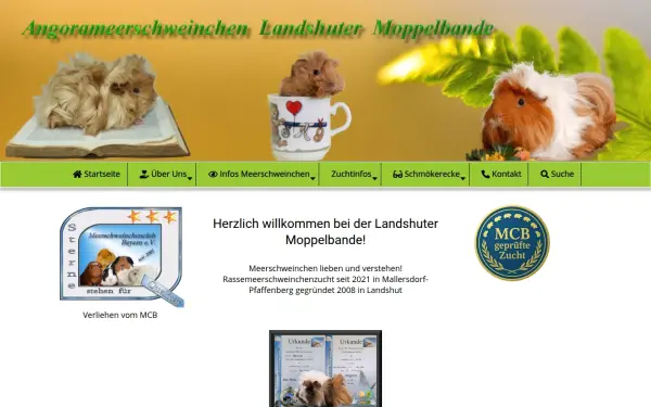 meerschweinchen-landshut.de
