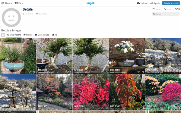 betula.imgbb.com