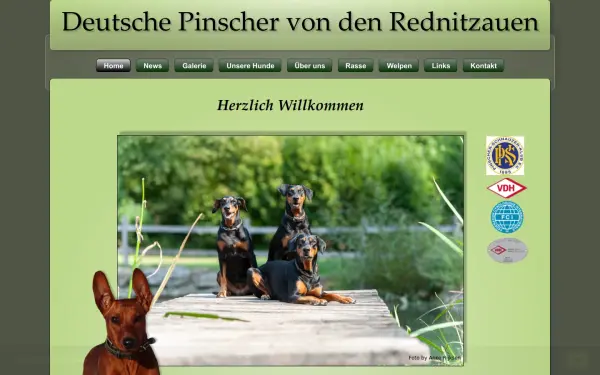 deutsche-pinscher-von-den-rednitzauen.de