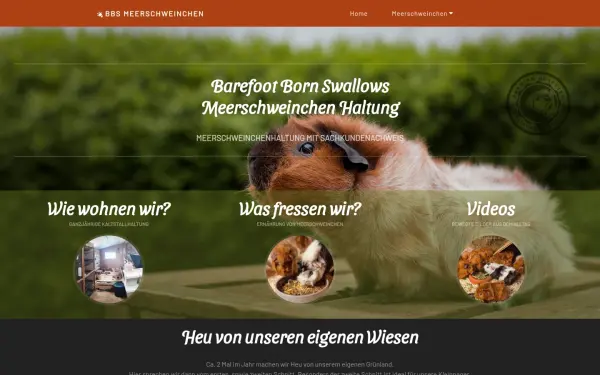 www.barefoot-born-swallows.de