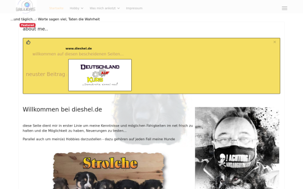 dieshel.de