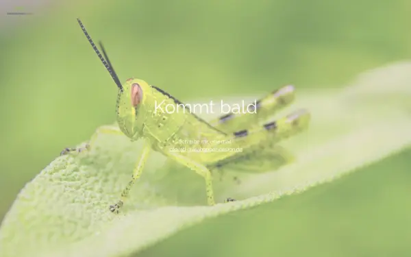 grasshopper-design.de