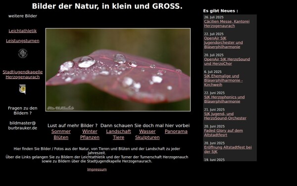 burbrauker.de