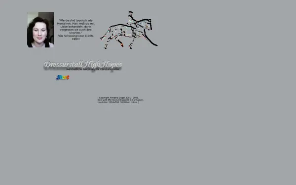 dressurstall-high-hopes.de