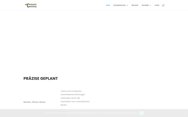 microtunnel-consulting.de