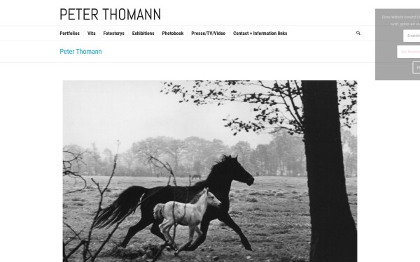www.peterthomann.net