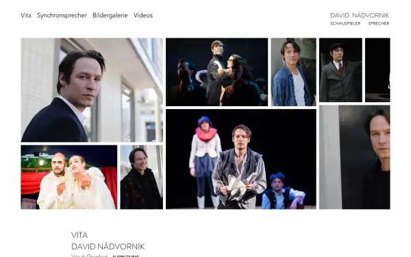 www.davidnadvornik.de