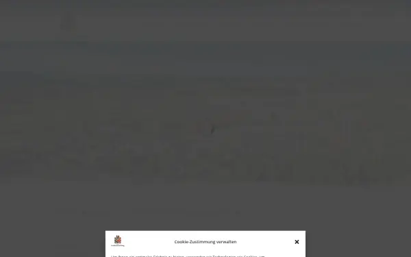 www.immler-grossfamilienstiftung.de