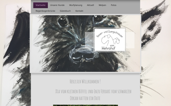 www.riesenschnauzer-wehrahof.de