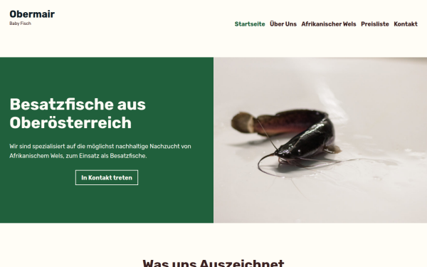 babyfisch.at