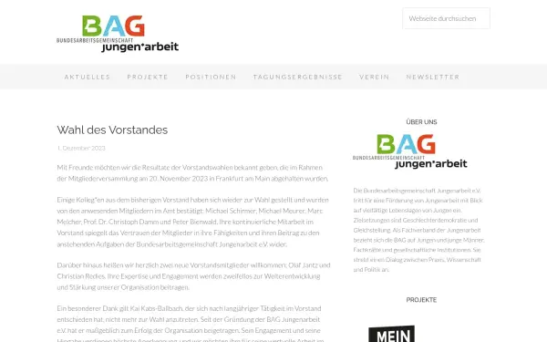 bag-jungenarbeit.de
