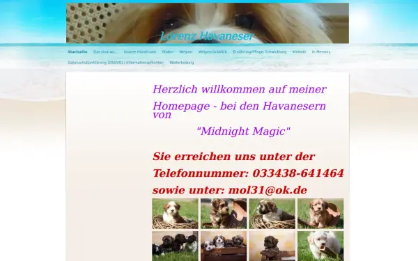 www.lorenz-havaneser.de