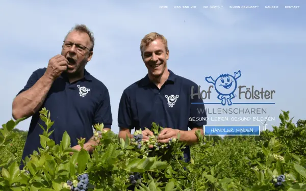 heidelbeerenfoelster.de