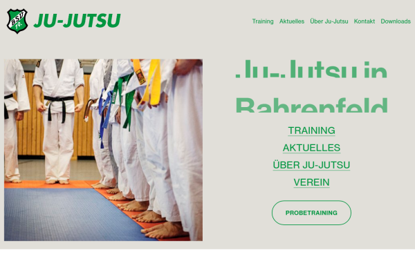 www.bsv19-jujutsu.de